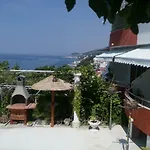 Blue View