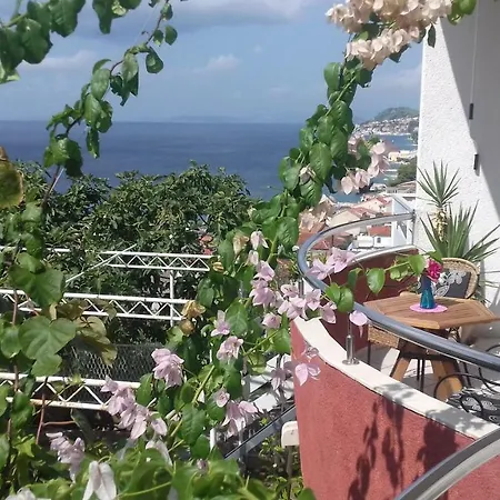 Blue View Apartment