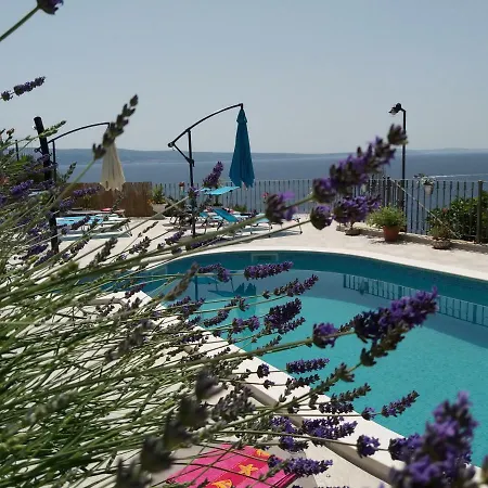 Blue View Apartman *